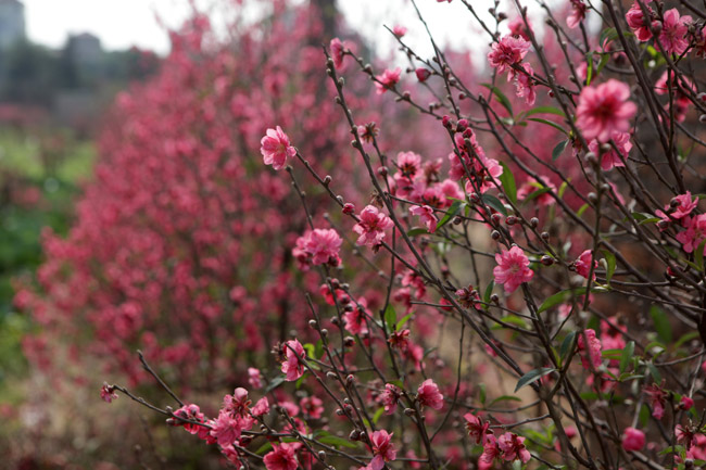 Nóng trong tuần: Ông Nguyễn Đức Chung nói lời sau cùng - 3
